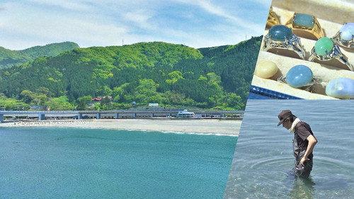 Document 72 Hours Season 13 Episode 14 - Nature's Treasure Hunt on a Niigata Beach