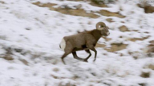 Absurd Planet Season 1 Episode 7 - The Flight Stuff