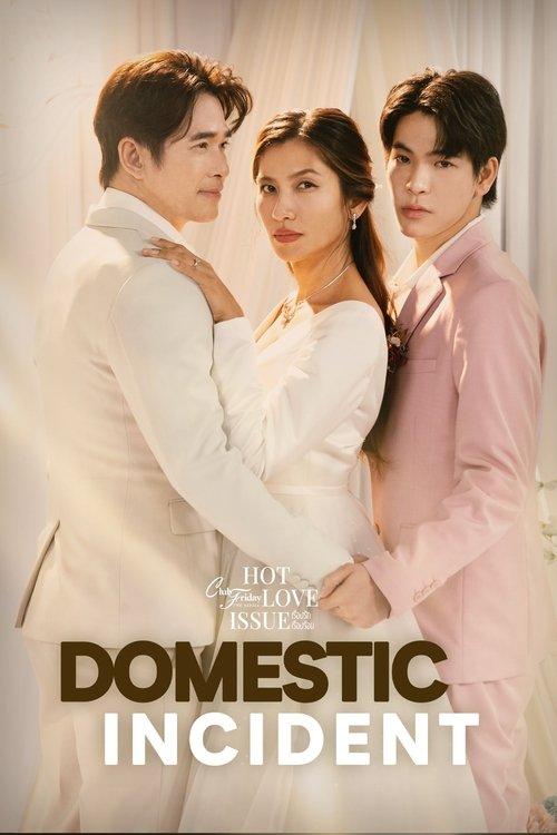 Domestic Incident poster