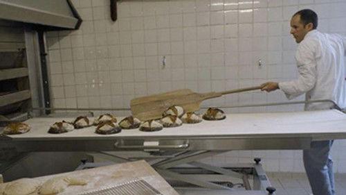 Grands Reportages Season 10 Episode 4 - Episode 4