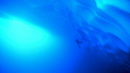 Vetenskapens värld Season 44 Episode 21 - Episode 21