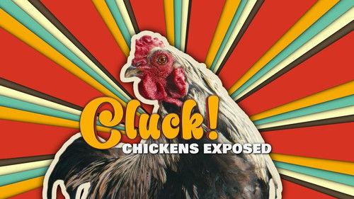 The Nature of Things Season 65 Episode 8 - Cluck! Chickens Exposed