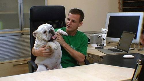 Rob Dyrdek's Fantasy Factory Season 1 Episode 1 - Blob, Super Blob