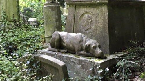 Paranormal Caught on Camera Season 2 Episode 15 - Ghost Dogs and More