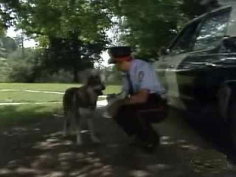 The Littlest Hobo Season 4 Episode 2 - Home Free