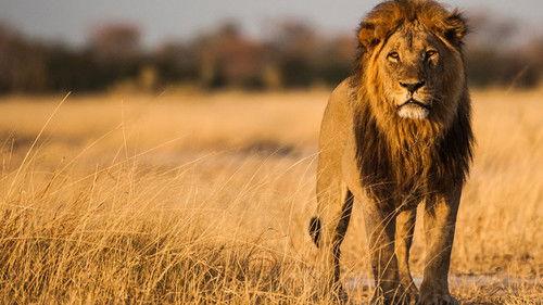 Background image for Reign of Traitors