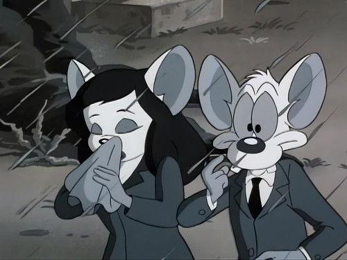 Pinky and the Brain Season 1 Episode 18 - The Third Mouse