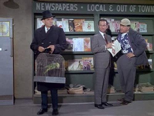 Get Smart Season 2 Episode 13 - Perils in a Pet Shop