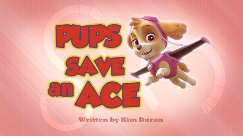undefined Season 2 Episode 12 - Pups Save an Ace