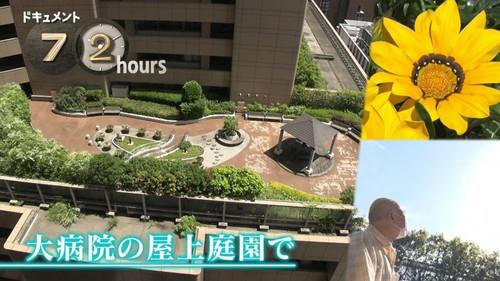 Document 72 Hours Season 14 Episode 21 - At the rooftop garden of a large hospital