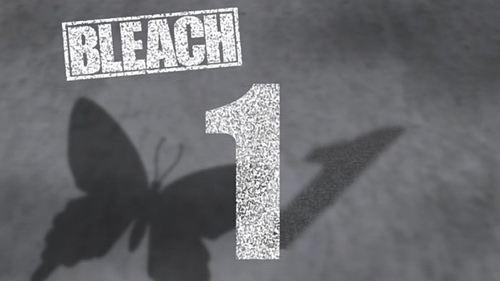 Bleach Season 1 Episode 1 - The Day I Became a Shinigami