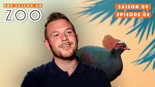 Une saison au zoo Season 9 Episode 4 - Episode 4