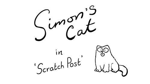 Simon's Cat Season 10 Episode 7 - Scratch Post