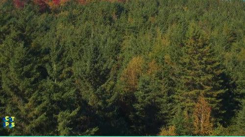 C'est toujours pas sorcier Season 2 Episode 14 - Episode 14