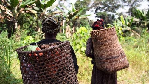 Tribal Season 1 Episode 7 - Episode 7