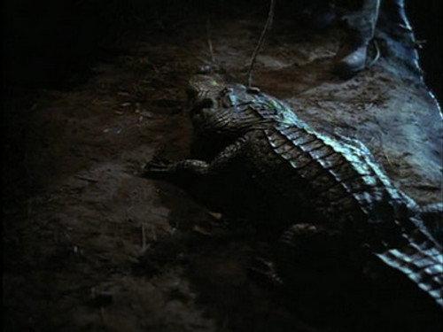 Swamp Thing Season 2 Episode 8 - Poisonous