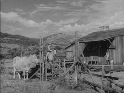 Gunsmoke Season 9 Episode 16 - Prairie Wolfer