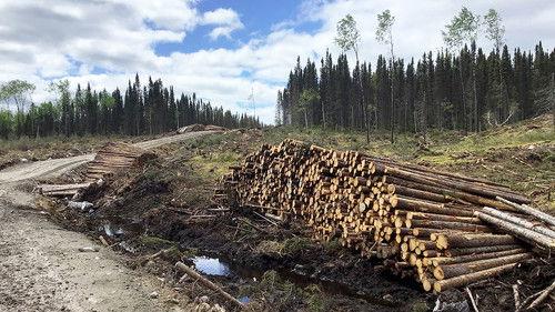 Vie de chantier Season 2 Episode 7 - Episode 7