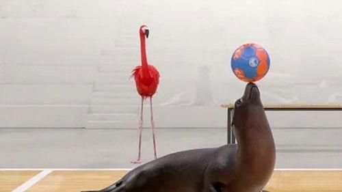 Athleticus Season 1 Episode 13 - Episode 13