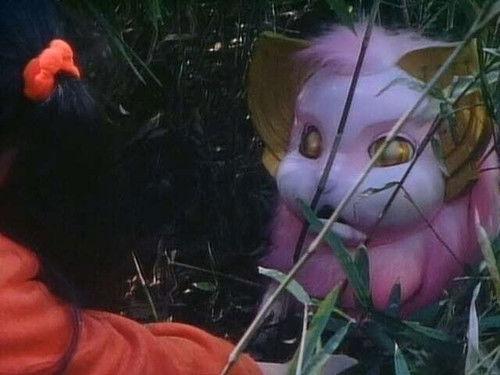 Seijuu Sentai Gingaman Season 1 Episode 9 - Secret Kitten