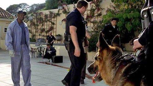 Boomtown Season 1 Episode 10 - Coyote