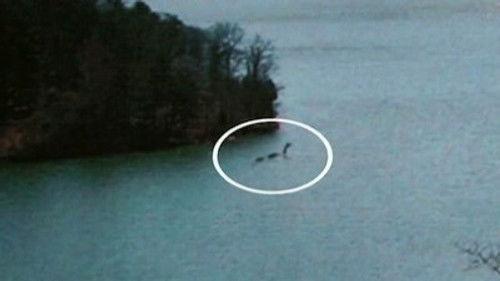 Fact or Faked: Paranormal Files Season 1 Episode 3 - Off the Deep End / Houseguest