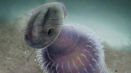 Eons Season 5 Episode 8 - How Worm Holes Ended Wormworld