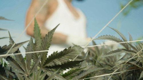 VICE News Tonight Season 6 Episode 3 - Wednesday, January 12, 2022