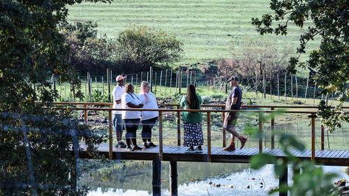 The Taste Master SA Season 6 Episode 11 - The Braai Challenge