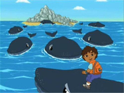 Go, Diego, Go! Season 1 Episode 4 - Diego Saves Baby Humpback Whale