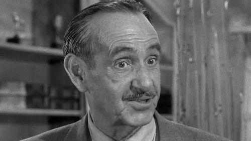 Leave It to Beaver Season 1 Episode 19 - The Bank Account