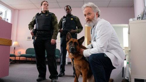Temps de chien Season 2 Episode 5 - Episode 5