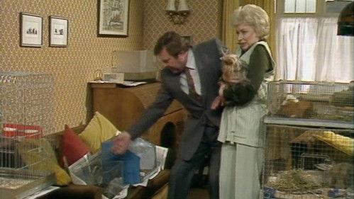 Terry and June Season 1 Episode 6 - Animal Crackers