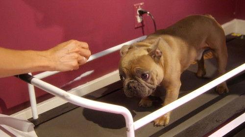 Most Expensivest Season 1 Episode 3 - Doggy Style