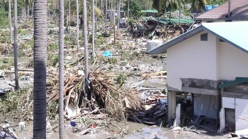 Ossi di Seppia - Il rumore della memoria Season 2 Episode 12 - Episode 12