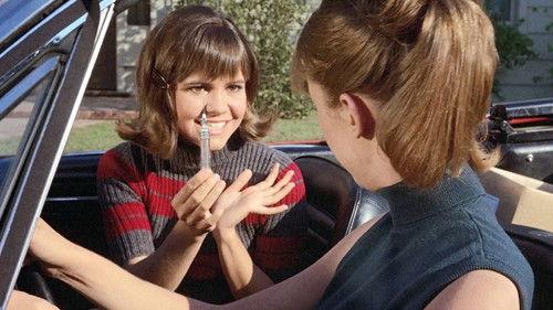 Gidget Season 1 Episode 13 - The War Between Men, Women and Gidget