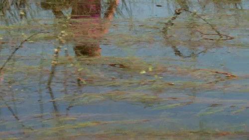 Naked and Afraid Season 10 Episode 19 - Stalked On The Savannah (Part 2)