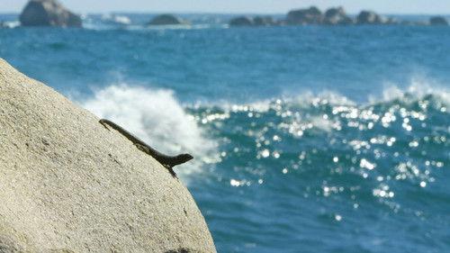 Wild Chile Season 1 Episode 3 - Life without Water