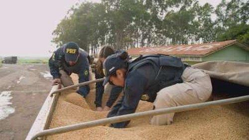 Border Control: Brazil Season 1 Episode 6 - Episode 6