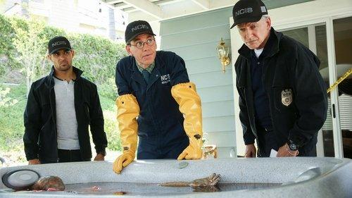 NCIS Season 16 Episode 2 - Love Thy Neighbor