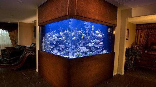 Tanked Season 3 Episode 19 - Legal Vending Machine