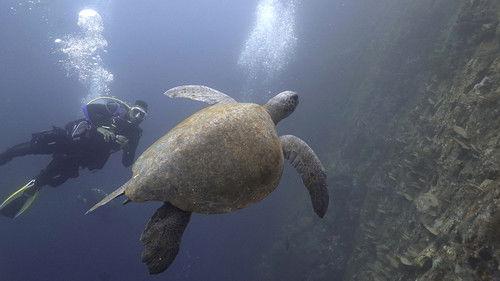 Les flots Season 2 Episode 13 - Episode 13