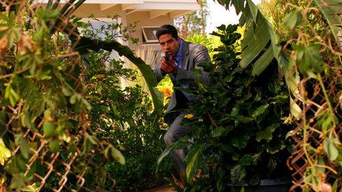 CSI: Miami Season 10 Episode 11 - Crowned