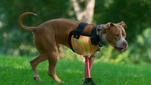 Background image for Sister, Sister