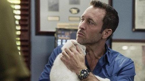Hawaii Five-0 Season 9 Episode 21 - He kama na ka pueo (Offspring of an Owl)