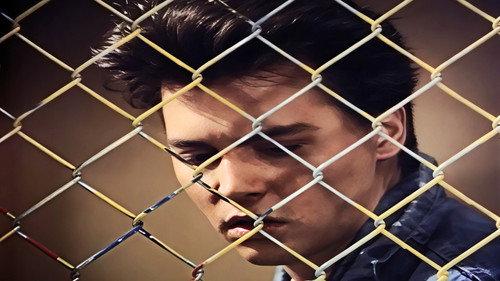 21 Jump Street Season 1 Episode 9 - Blindsided