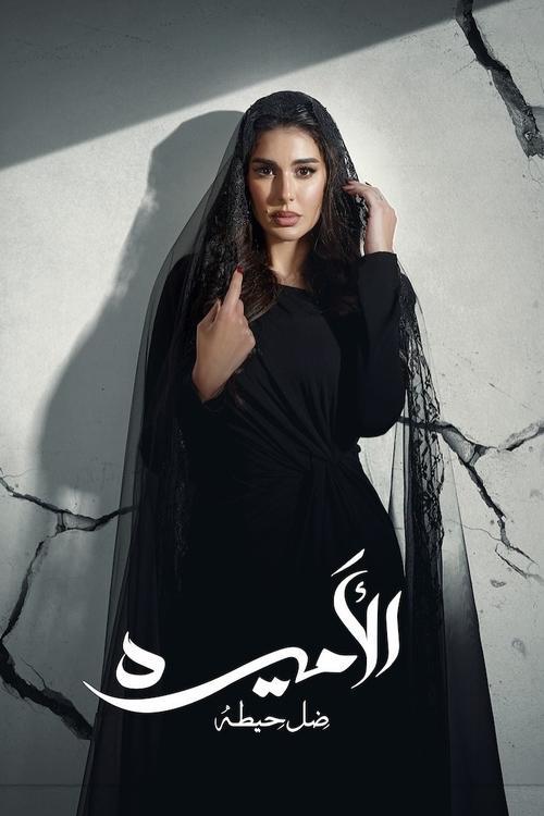The Princess: Shadow of A Wall poster