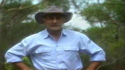 The Extraordinary Season 1 Episode 1 - Episode 1