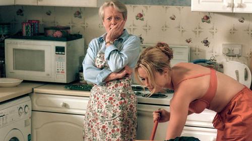 One Foot in the Grave Season 6 Episode 3 - The Futility of the Fly