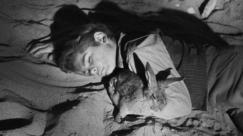 Cheyenne Season 3 Episode 16 - The Long Search